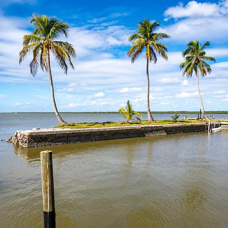 Chokoloskee Island Rv Park Everglades City Exteriör bild