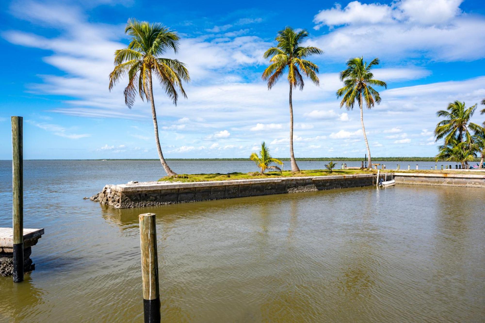 Chokoloskee Island Rv Park Everglades City Exteriör bild